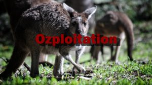 Ozploitation - Genre from Down Under